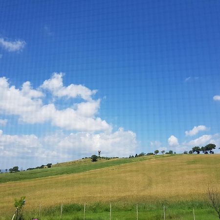 Agriturismo Bio Le 4 Stagioni Porrona Екстериор снимка