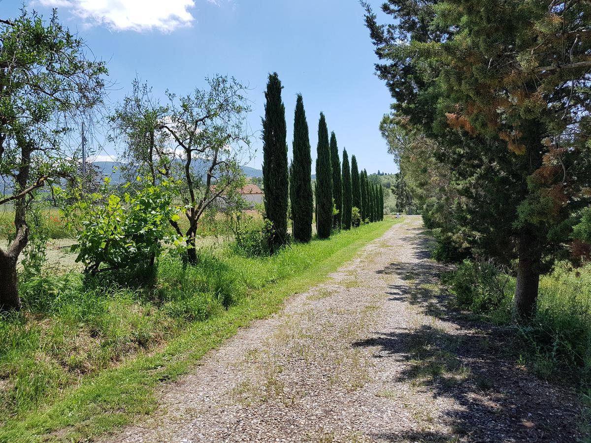 Agriturismo Bio Le 4 Stagioni Porrona Екстериор снимка